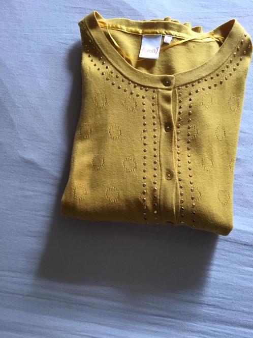 Nieuw ! Okerkleurige gilet., Vêtements | Femmes, Pulls & Gilets, Neuf, Taille 46/48 (XL) ou plus grande, Autres couleurs, Enlèvement ou Envoi