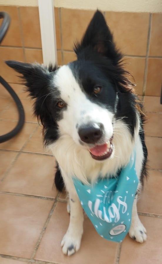 Overwinteren in Playa Flamenca ,La Zenia , Torrevieja Spanje, Vakantie, Vakantie | Senioren