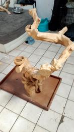 3 stuks javaboom stammen voor ara's