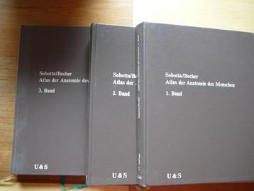 Atlas der Anatomie Sobotta Becher 3 delen 1972, Sobotta Becher, Enlèvement ou Envoi, Utilisé, Sciences naturelles