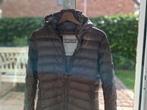 Tussenseizoen donsjas van het premium merk CLOSED, maat L., Kleding | Dames, Ophalen of Verzenden, Zo goed als nieuw, Maat 42/44 (L)