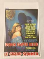 THE BIG SLEEP   Filmposter  36-54 cm, Enlèvement ou Envoi