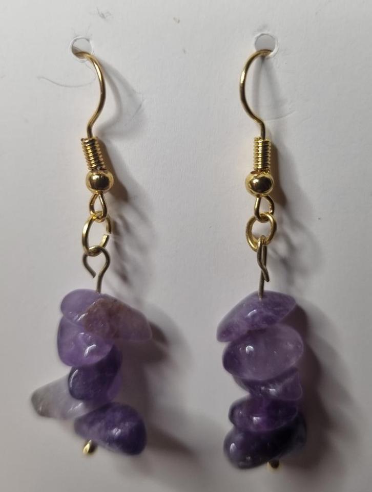 Stenen oorbellen, Handtassen en Accessoires, Oorbellen, Nieuw, Hangers, Goud, Paars, Ophalen of Verzenden