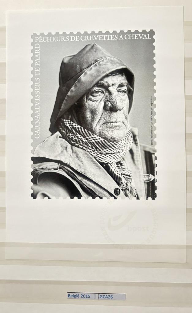 Feuilles noires et blanches dans un album, Timbres & Monnaies, Timbres | Europe | Belgique, Non oblitéré, Autre, Autre, Sans timbre