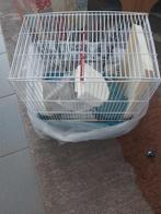 Cage pour oiseau, Zo goed als nieuw