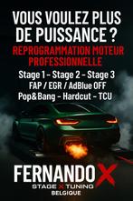 FERNANDO STAGE X TUNING, Auto diversen, Tuning en Styling, Ophalen of Verzenden
