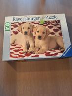 Puzzel 1500 stukjes puppy's Ravensburger, Ophalen, 500 t/m 1500 stukjes, Zo goed als nieuw, Legpuzzel