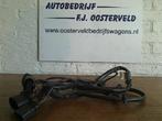 Kabelboom van een Audi S4, 3 maanden garantie, Gebruikt, Ophalen of Verzenden, Audi