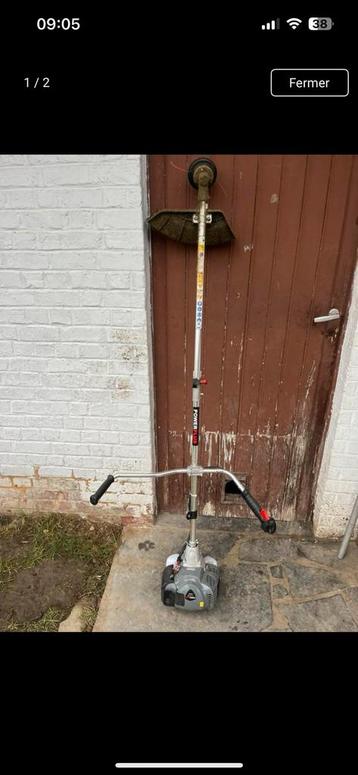 Bosmaaier  beschikbaar voor biedingen