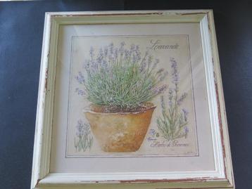 Lavendel kader beschikbaar voor biedingen