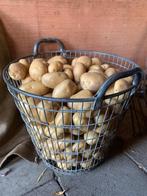 Aardappelen, Zakelijke goederen, Landbouw | Aardappelen, Groenten, Fruit en Vlees, Ophalen of Verzenden