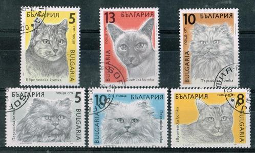 Timbres de Bulgarie - K 1553 - chats, Timbres & Monnaies, Timbres | Europe | Autre, Affranchi, Bulgarie, Enlèvement ou Envoi