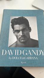 David Gandy boek Dolce and Gabbana, Boeken, Kunst en Cultuur | Fotografie en Design, Ophalen of Verzenden, Zo goed als nieuw