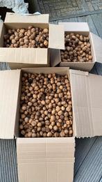 Noten/walnoten/okkernoten van dit najaar.    35€ voor 12 kg., Enlèvement
