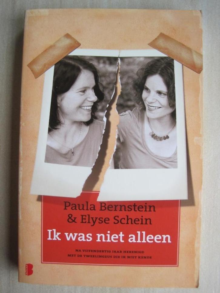 091 - Ik was niet alleen - Bernstein & Schein, Boeken, Romans, Zo goed als nieuw, Amerika, Ophalen of Verzenden