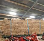 kleine balen stro, Dieren en Toebehoren, Ophalen of Verzenden, Nieuw