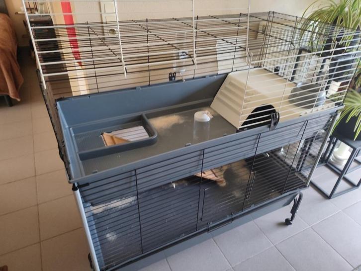 Knaagdierenkooi (binnen), Dieren en Toebehoren, Knaagdieren en Konijnen | Hokken en Kooien, Zo goed als nieuw, Kooi, 90 cm of meer