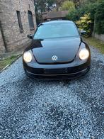 Volkswagen Beetle, Entreprise, Achat, Euro 5