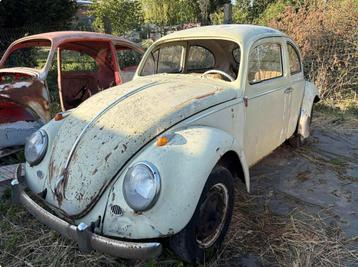 Vw cox Beryl Green 1963 beschikbaar voor biedingen