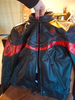 Veste de moto Richa, Motos, Femmes, Seconde main, Manteau | cuir, Richa
