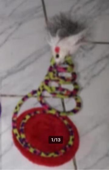 Vervoerkooi, hangmat harnassen en speeltjes voor katten beschikbaar voor biedingen