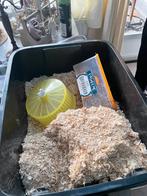 Gratis, Dieren en Toebehoren, Ophalen, Nieuw, Loopwiel of Rad