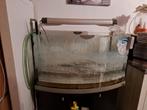 Aquarium van 100L  + kast + benodigheden, Dieren en Toebehoren, Ophalen, Gebruikt, Leeg aquarium