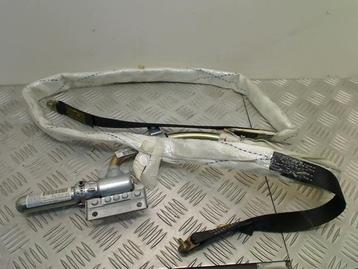 Airbag plafond gauche d'un BMW X5, Enlèvement ou Envoi, 3 mois de garantie, Utilisé, BMW
