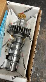 harley  schovel  nokkenas, Motoren, Ophalen, Nieuw