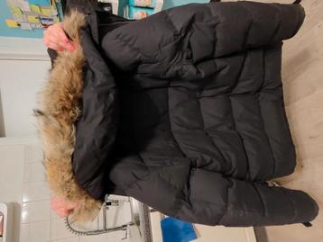 Tommy Hilfiger  beschikbaar voor biedingen