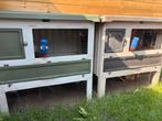 2 kooien met cavia’s, Ophalen, Gebruikt, Kooi, Cavia