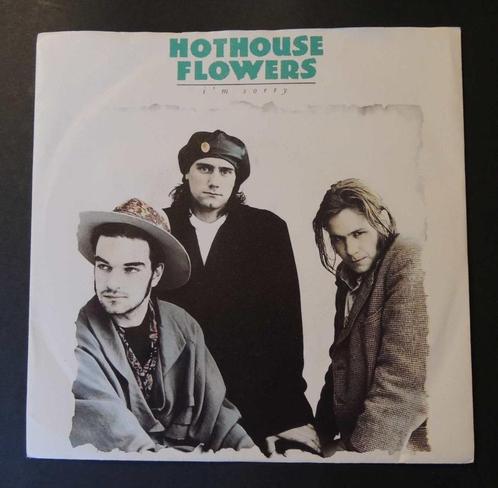 Hothouse Flowers: "I'm sorry" (vinyl single 45T/7"), CD & DVD, Vinyles Singles, Utilisé, Single, Pop, 7 pouces, Enlèvement ou Envoi