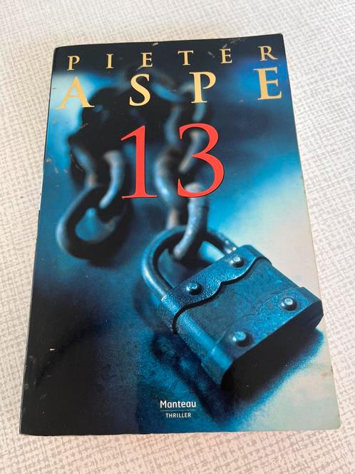 Pieter Aspe - 13, Livres, Thrillers, Utilisé, Enlèvement