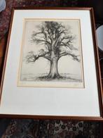 Jan Keustermans, Antiek en Kunst, Ophalen