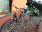 2 Elektrische fiets, Fietsen en Brommers, Elektrische fietsen, Ophalen