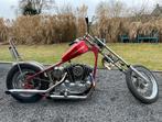 Harley Davidson Ironhead hardtail, Motoren, Particulier