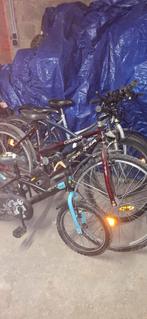 3 grote fietsen 1 klijne