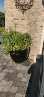 Bloempot winterbestendig, Tuin en Terras, Bloempotten, Ophalen