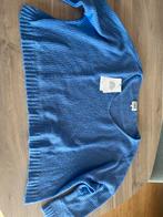 Lichtblauwe losse trui CKS maat S, Kleding | Dames, Ophalen of Verzenden, Zo goed als nieuw, Maat 38/40 (M)