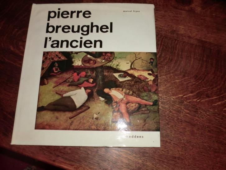 Kunstboek Pieter Breugel de Oude, Boeken, Stock en Verzamelingen, Zo goed als nieuw, Kunst en Cultuur, Ophalen of Verzenden