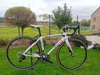 Eddy Merckx carbon geschikt voor 1.50-1.65m topstaat!, Ophalen, 28 inch, Carbon, Minder dan 49 cm