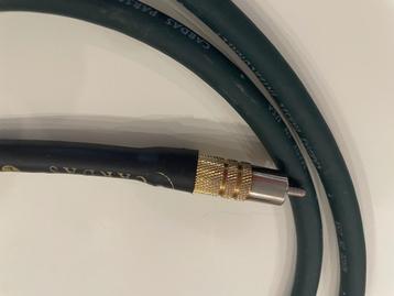 Excellent câble de modulation cardas parsec  beschikbaar voor biedingen