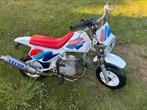 Moto monkey baja, Fietsen en Brommers, Ophalen