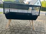 Cage pour rongeurs + hamster femelle de 2 mois, Animaux & Accessoires, Comme neuf, Hamster, Cage, Enlèvement ou Envoi