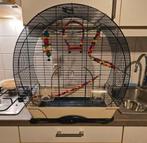 Kleine vogelkooi, Enlèvement, Utilisé, Cage à oiseaux