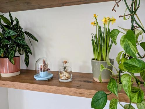 Decoratieve stolp droogbloemen, Huis en Inrichting, Woonaccessoires | Stolpen, Zo goed als nieuw, Ophalen