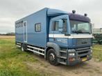 2004 MAN H09 Veewagen, Auto's, Vrachtwagens, Bedrijf, Te koop, Euro 3, MAN