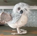 Uil deco, Enlèvement ou Envoi