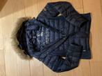 Blouson fille superdry 14 ans taille X, Comme neuf, Fille