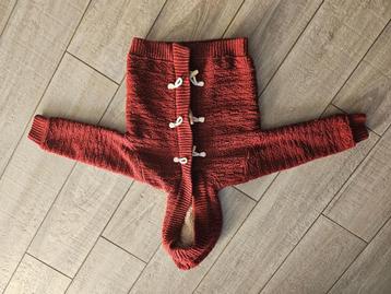 Zara Knitwear jas 18-24 maanden beschikbaar voor biedingen